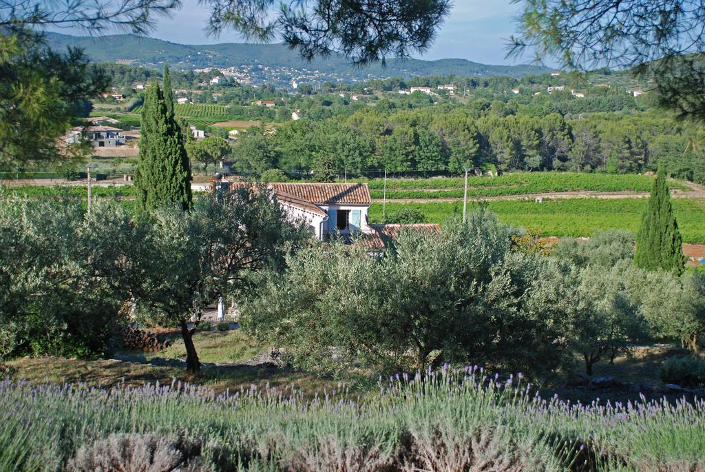 Domaine Rabiega - Vineyard And Boutique Hotel Драгиньян Экстерьер фото