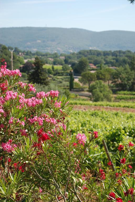 Domaine Rabiega - Vineyard And Boutique Hotel Драгиньян Экстерьер фото
