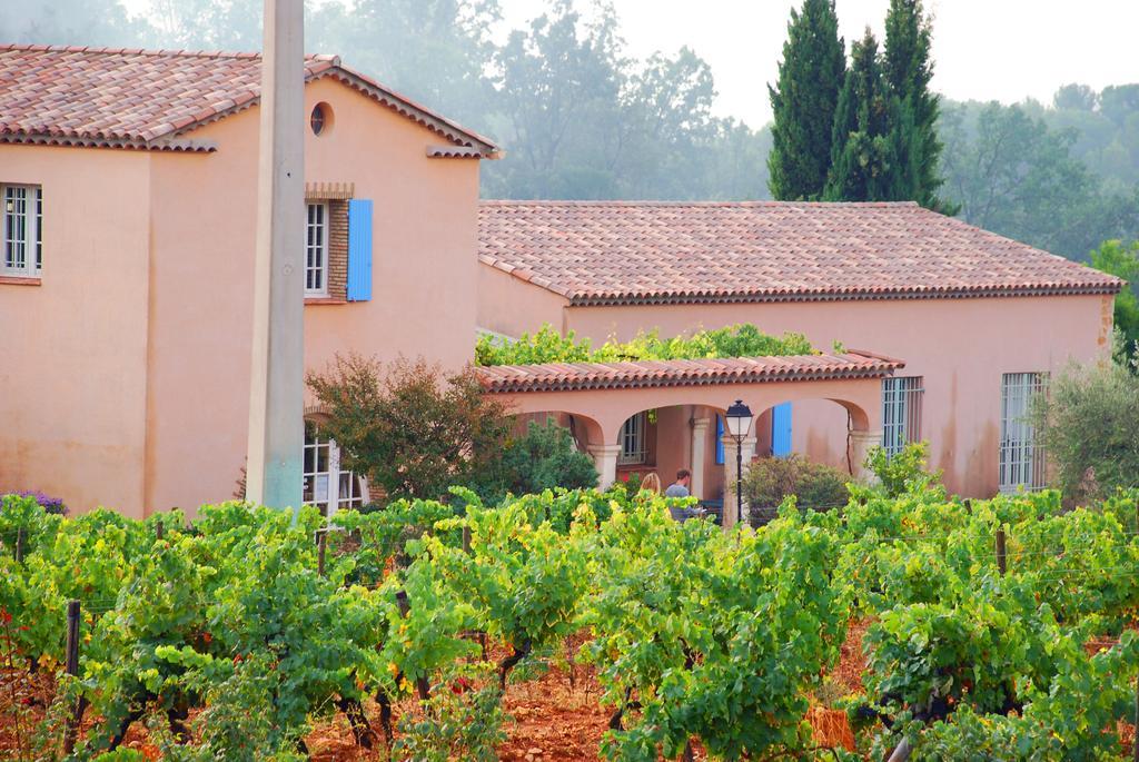 Domaine Rabiega - Vineyard And Boutique Hotel Драгиньян Экстерьер фото